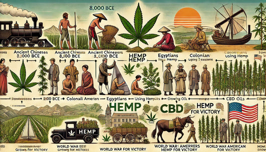 The History of Hemp: From Ancient Times to Modern Day