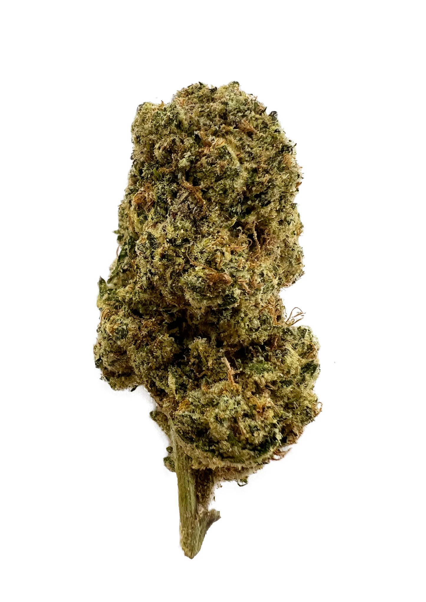 Dutch Tree