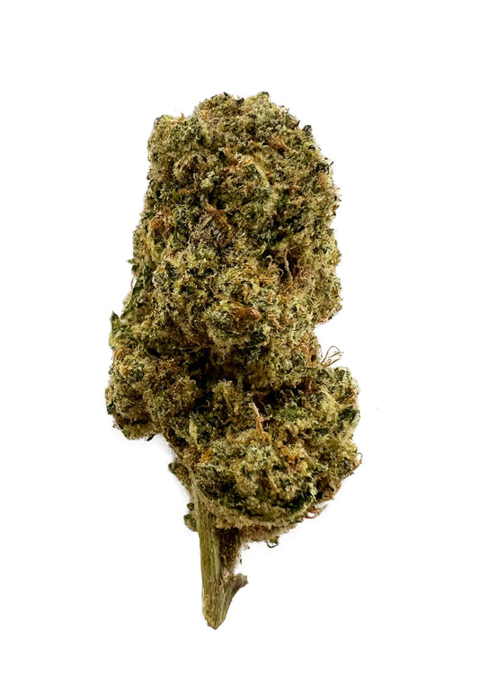 Dutch Tree