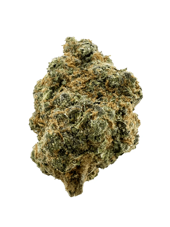 Papaya