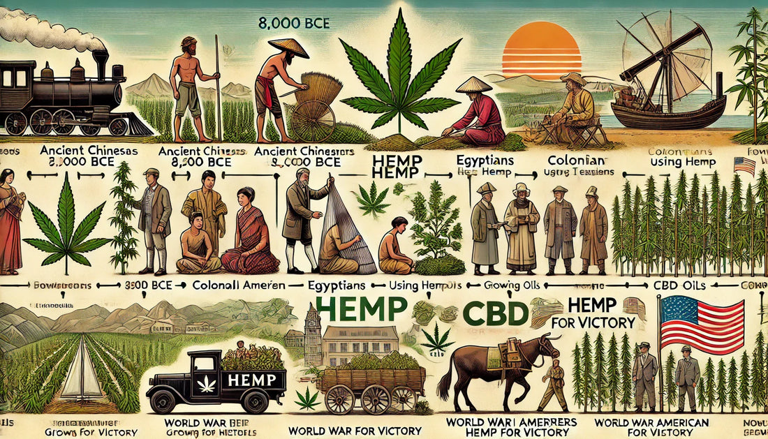 The History of Hemp: From Ancient Times to Modern Day