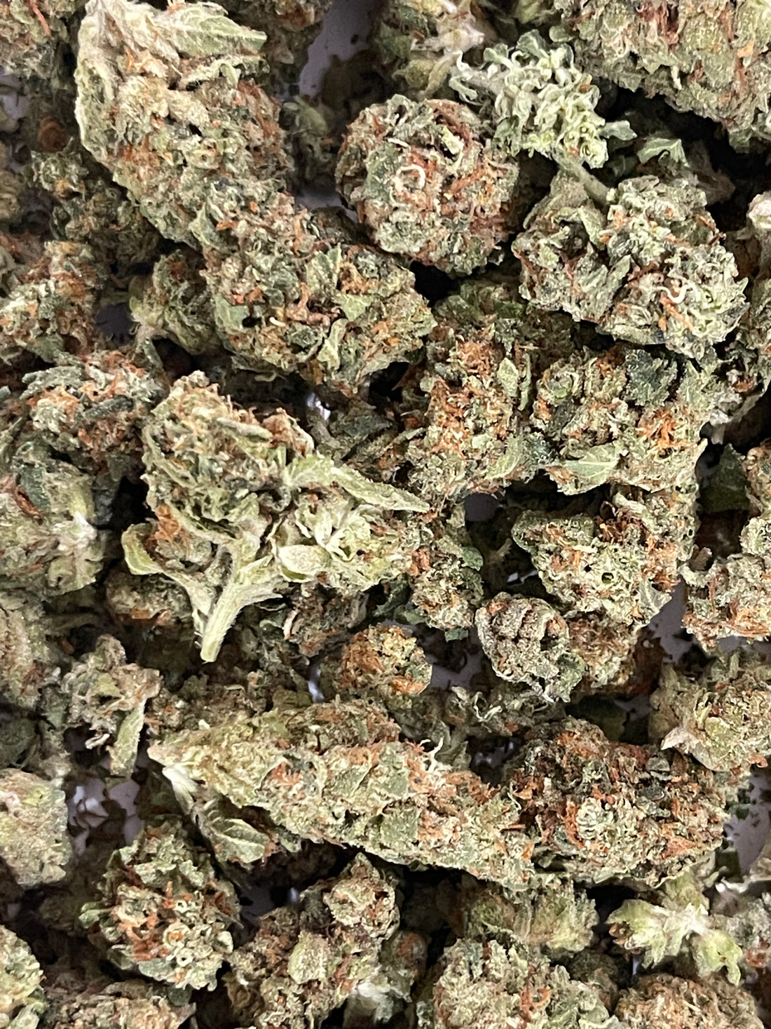 Optimizing Local Cannabis Searches with ItsVerde.com
