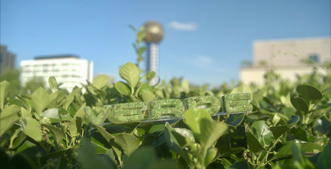 Local Cannabis Delivery in Knoxville, Tennessee: Convenience Redefined with ItsVerde