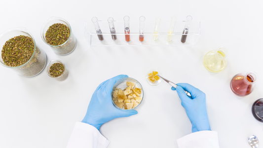 Discover Myrcene: The Relaxation Terpene