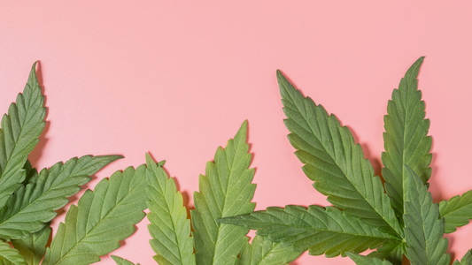 How to Find Lab-Tested Hemp-Derived CBD Products in Your Area
