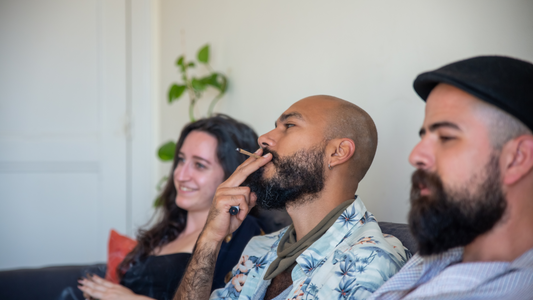 Why Hemp-Derived Cannabis Alternatives Are Taking Over the Market