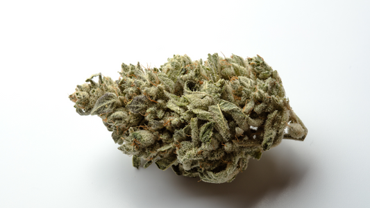 What Is Cannabinol (CBN)? A Guide to This Calming Cannabinoid