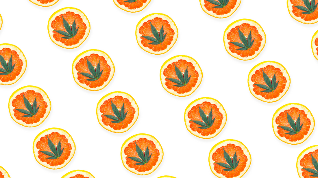 The 10 Best Gifts for Stoners in the 2024 Holiday Season