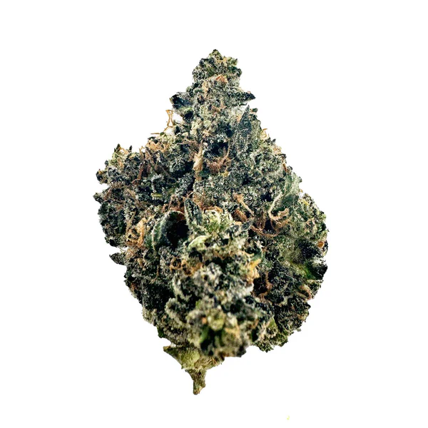 Cookie Dawg